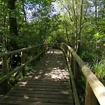 Jelinek An Der Mueritz